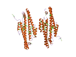 2gd5: Structural basis for budding by the ESCRTIII factor CHMP3