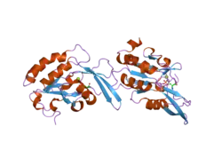 2ght: CTD-specific phosphatase Scp1 in complex with peptide from C-terminal domain of RNA polymerase II