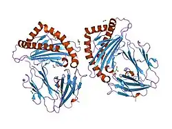 2git: Human Class I MHC HLA-A2 in complex with the modified HTLV-1 TAX (Y5K-4-[3-Indolyl]-butyric acid) peptide