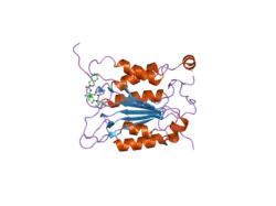 2hbz: Crystal structure of human caspase-1 (Arg286->Ala, Glu390->Ala) in complex with 3-[2-(2-benzyloxycarbonylamino-3-methyl-butyrylamino)-propionylamino]-4-oxo-pentanoic acid (z-VAD-FMK)