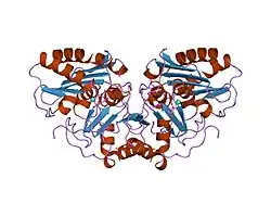 2hhm: STRUCTURE OF INOSITOL MONOPHOSPHATASE, THE PUTATIVE TARGET OF LITHIUM THERAPY