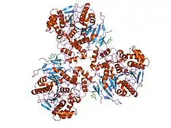2hrr: Crystal structure of Human Liver Carboxylesterase 1 (hCE1) in covalent complex with the nerve agent Tabun (GA)