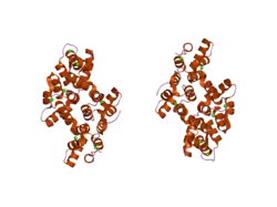 2hyw: Human Annexin A2 with Calcium bound