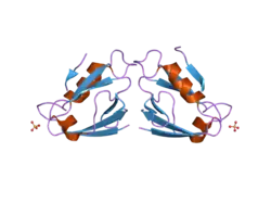 2i04: X-ray crystal structure of MAGI-1 PDZ1 bound to the C-terminal peptide of HPV18 E6