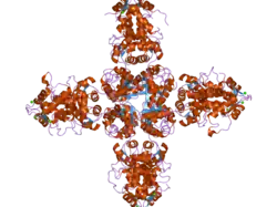 2i2r: Crystal structure of the KChIP1/Kv4.3 T1 complex