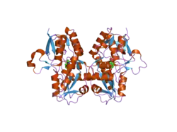 2i3w: Measurement of conformational changes accompanying desensitization in an ionotropic glutamate receptor: Structure of S729C mutant