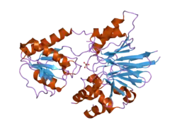 2i7t: Structure of human CPSF-73