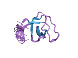 2jm8: R21A Spc-SH3 free
