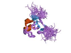 2jmd: Solution Structure of the Ring Domain of Human TRAF6