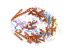 2o8d: human MutSalpha (MSH2/MSH6) bound to ADP and a G dU mispair