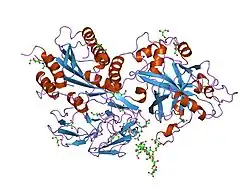 2ok5: Human Complement factor B