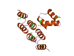 2oo9: crystal structure of the UBA domain from human c-Cbl ubiquitin ligase