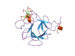 2p39: Crystal structure of human FGF23