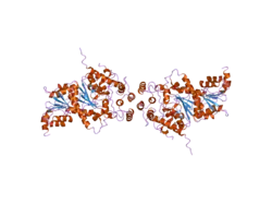 2pjx: Crystal structure of the Munc18c/Syntaxin4 N-peptide complex
