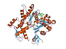 2q36: Actin Dimer Cross-linked between Residues 191 and 374 and complexed with Kabiramide C