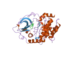 2uzu: PKA STRUCTURES OF INDAZOLE-PYRIDINE SERIES OF AKT INHIBITORS