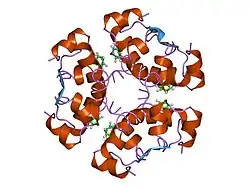 3aiy: R6 HUMAN INSULIN HEXAMER (SYMMETRIC), NMR, REFINED AVERAGE STRUCTURE