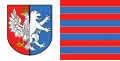 Flag of Lubartów County