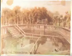 Palma Ceia springs original pool 1906
