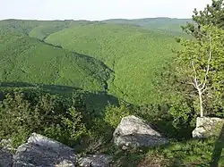 View from the air of a forest-covered mountain