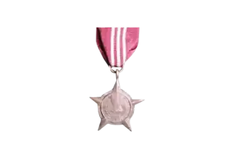 Pashchimi Star Medal