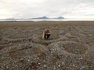 Stone rings on Spitsbergen