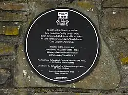 A close up image of a bilingual plaque dedicated to McCarthy in Killarney.