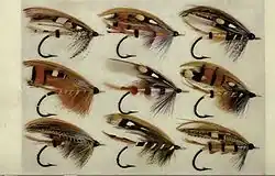 Plate of flies from T. E. Pryce-Tannatt