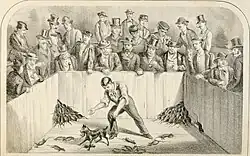 Rat-baiting c.1873