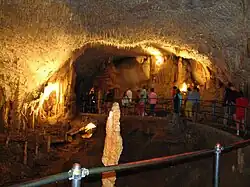 Tube (or Spaghetti) Hall