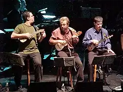 Canary Islands, Fuerteventura. timple