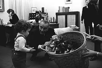 Image 41President Lyndon B. Johnson with a basket of puppies in 1966 (from Puppy)