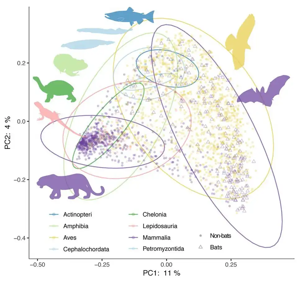 Principal coordinate analysis of animal gut microbiome data