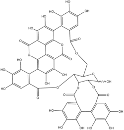 Chemical structure of punicalagin
