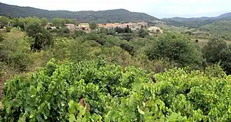 A general view of Quintillan