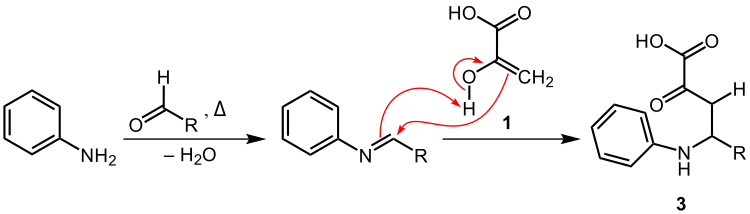 Reaktionsmechanismus-Vorschlag (2) der Doebner-Reaktion