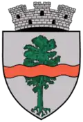 Coat of arms of Pucioasa