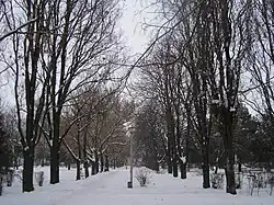 Salonta - The central park