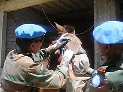RVC personnel serving as part of the Indian contingent in UNMISS