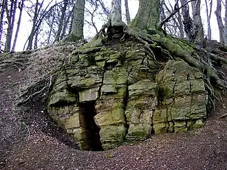 Jurassic rock on the Reineberg