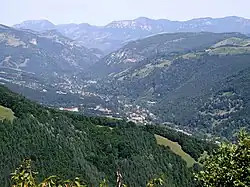 Overview of Ribaritsa