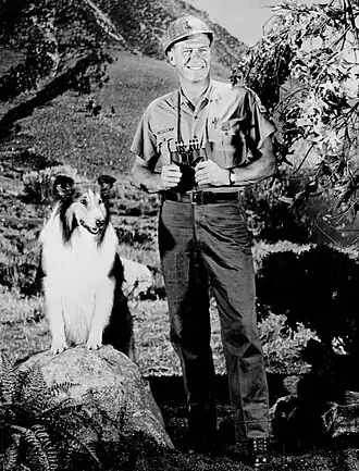 After 10 seasons on the farm with the Millers and the Martins, the series shifted to Lassie's adventures with the U.S. Forest Service during seasons 11–16, the bulk of that time featuring Robert Bray as Ranger Corey Stuart.