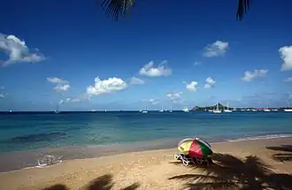 Photo of a beach on a sunny day, with a blue-green bay filled with white boats in the distance.