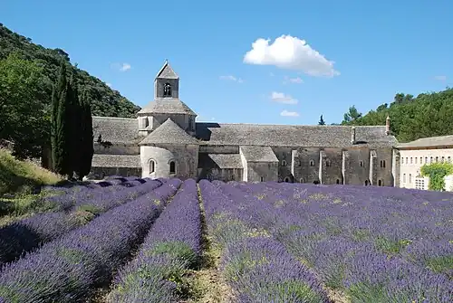 Sénanque Abbey (founded 1148) is an example of Romanesque architecture of Provence&nbsp;[fr]