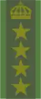 Överste av 1. graden (Swedish Army)