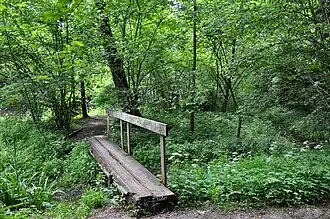 Log bridge in Switzerland with flattened top and handrail