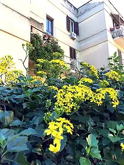 Apartment complex, Italy