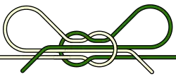 Diagram of common shoelace bow knot, a doubly slipped reef knot