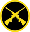 Skill at arms badge