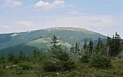 Králický Sněžník from south